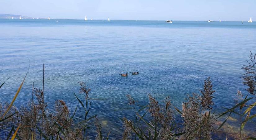 Szennyvíz juthatott a Balatonba a déli partnál