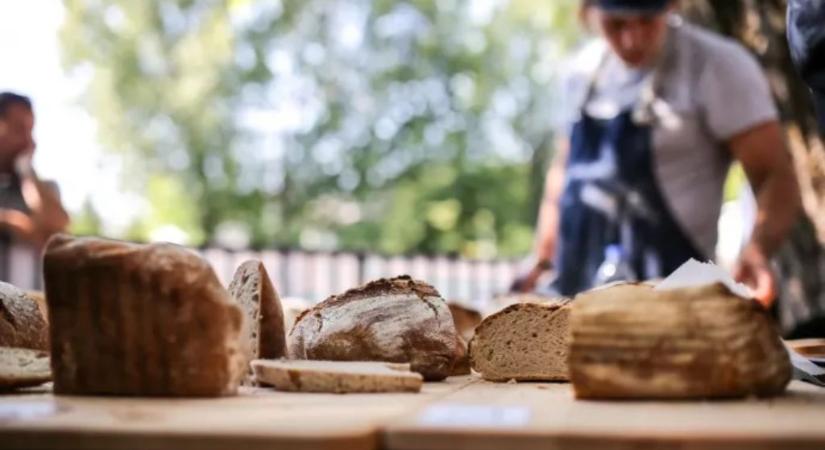 Zöld és Kenyérlelke Fesztivál – Vár a Szentendrei Skanzen 2025. augusztus 20-án