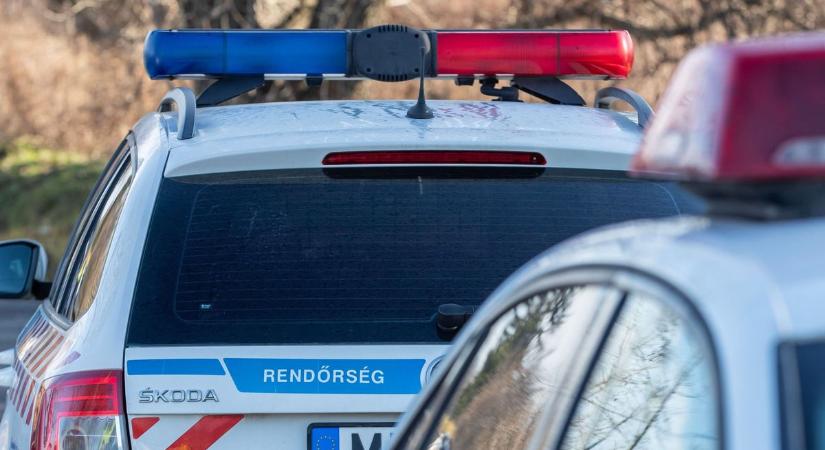 Gárdonyi gyilkosság: újabb részletek derültek ki