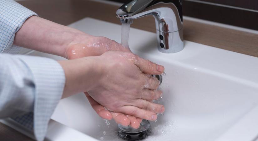 Egy székesfehérvári iskolában is kimutatták a Pseudomonas aeruginosa baktériumot