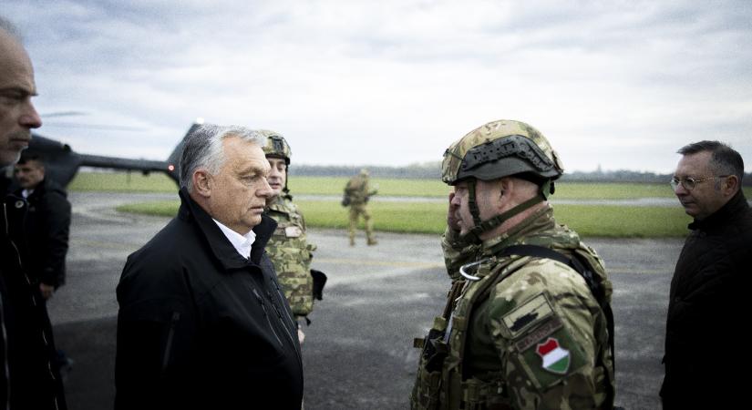 Ürgebőrbe varrt lokátor kellett az ukránoknak a zebralopáshoz!