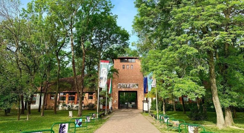 Tematikus esttel készül a Szegedi Vadaspark az Állatkertek Éjszakáján