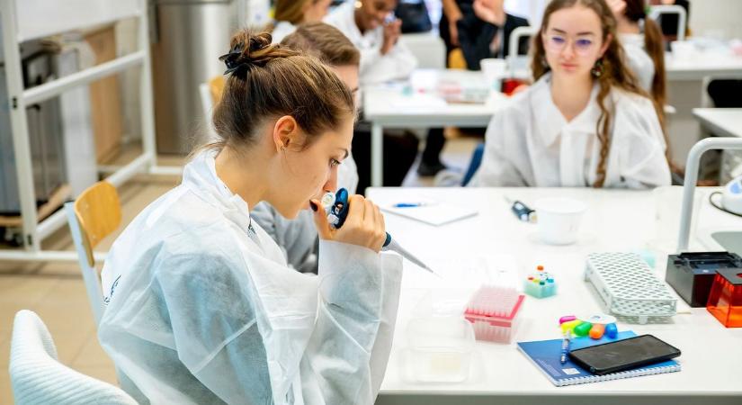 Bronz diploma igazolja a Garay gimnázium diákjainak tehetségét