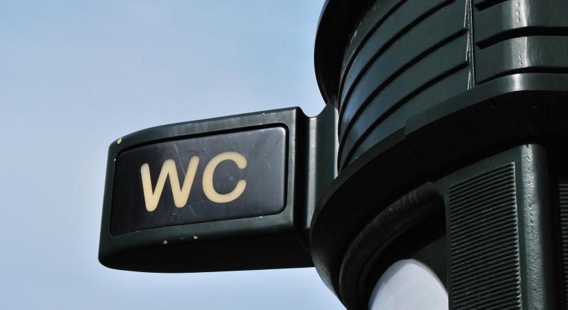 Kiderült, mennyire veszélyesek a nyilvános WC-k ülőkéi – így kerülhetjük el a fertőzéseket