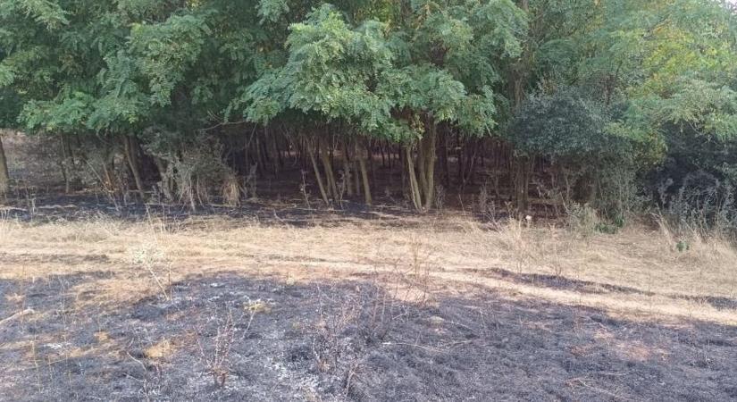 Több ezer négyzetméteren lángolt a határ