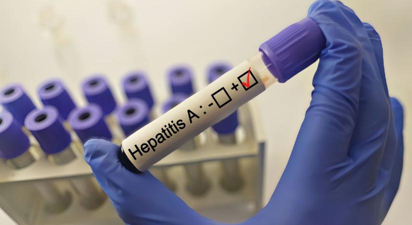 Friss fertőzés-adatok: terjed a hepatitisz és a szalmonella, tovább fertőz a Dengue-láz