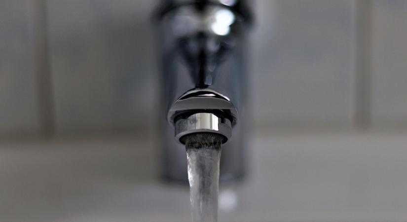 Már egy székesfehérvári kollégiumban is kimutatták a kórházban talált baktériumot