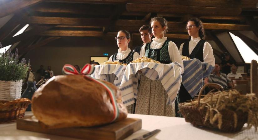 Pécstől Szigetvárig: így készül Baranya Szent István ünnepére