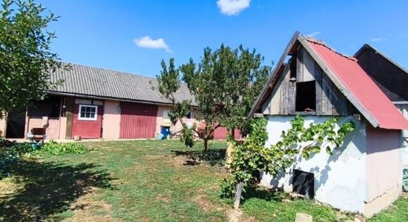 "Nem tudjuk, hogy túlélik-e?" - Benzinnel locsolta, majd felgyújtotta nejét az elborult férj Tivadaron