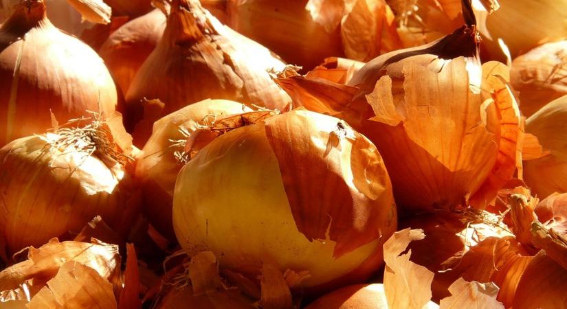 Fontos kertészeti termékek kerültek ki az EKÁER-bejelentés alól