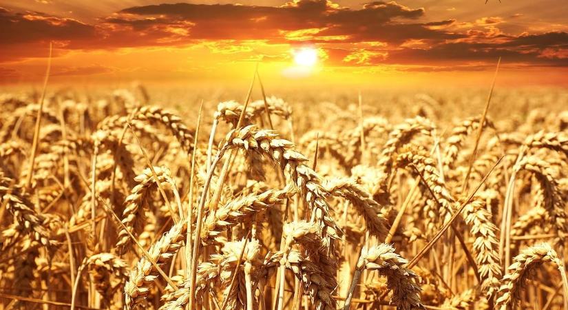 K&H: egyre gyakoribbak a szélsőséges időjárási viszonyok