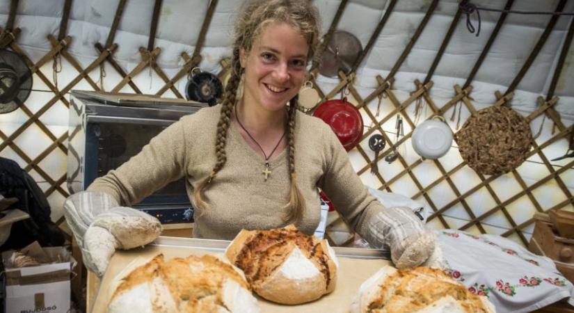 Búzától a bitekig: így készül a jövő kenyere