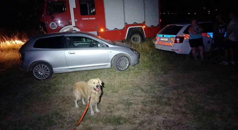 Vita robbant ki a holtan talált terepfutó keresése körül