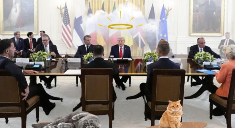 "Köszönöm, Trump elnök úr!" – Kárpáti Iván jegyzete