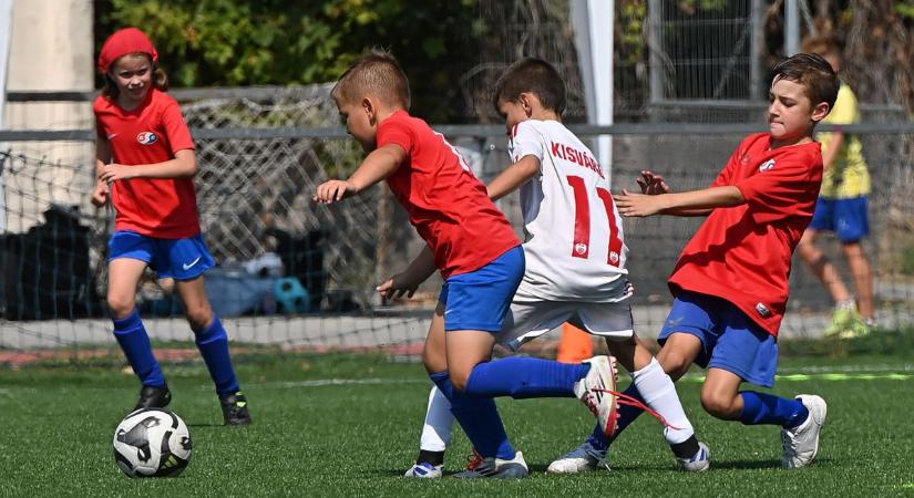 1. Janovicz Pékség-kupa: íme a hét korosztály hét egri különdíjasa