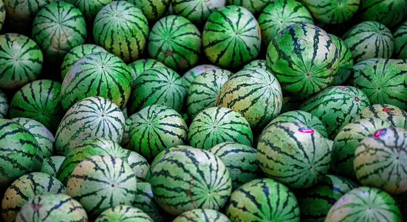 Ki látott már ilyet! A dinnyét is lopják...
