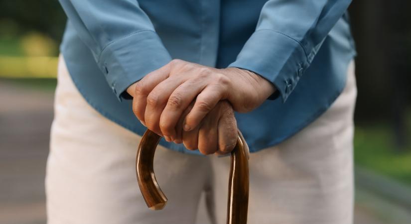 Rémhír terjedt a nyugdíjasok élelmiszerutalványáról, de kiderült, hogy igaz