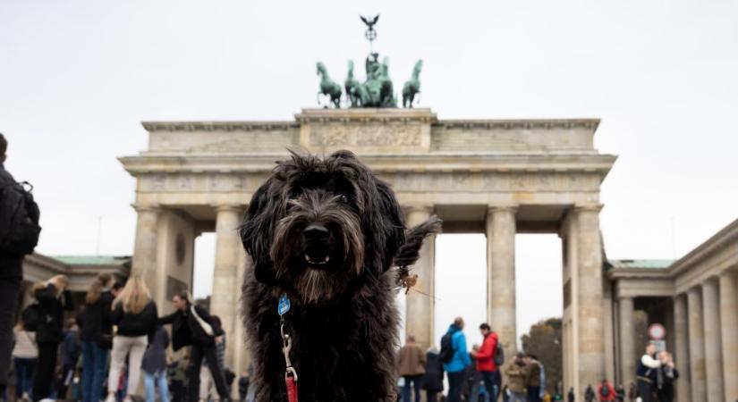 Több száz euróra büntetnék azt, aki eldob egy cigicsikket vagy nem szedi fel a kutyagumit Berlinben