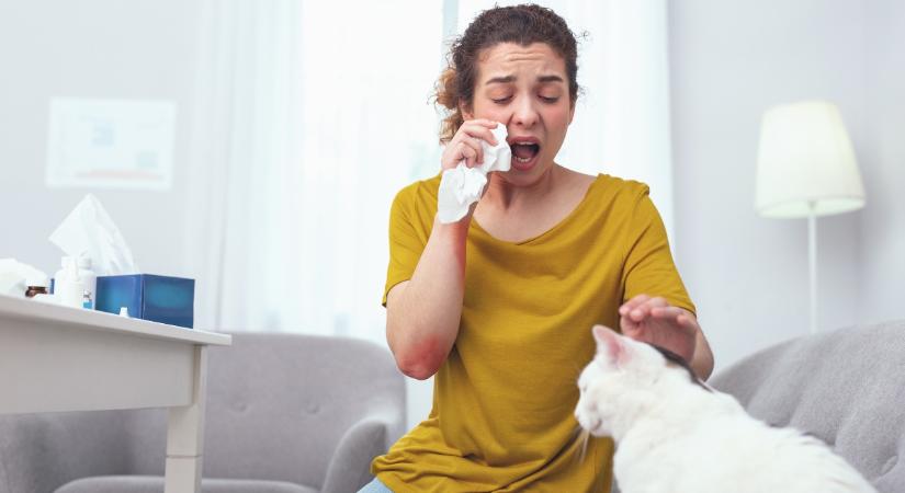 Ami már nem csak allergia: ezek az allergiás asztma tünetei