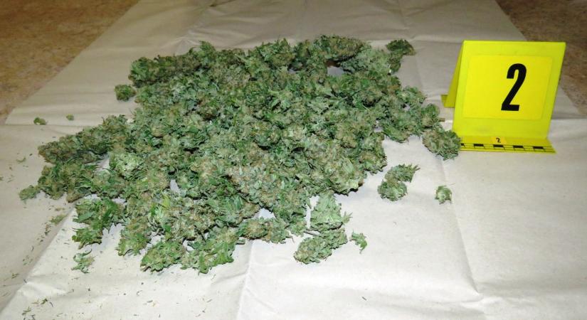 Titkos kamrában nevelte a kannabiszt Szentistvánon