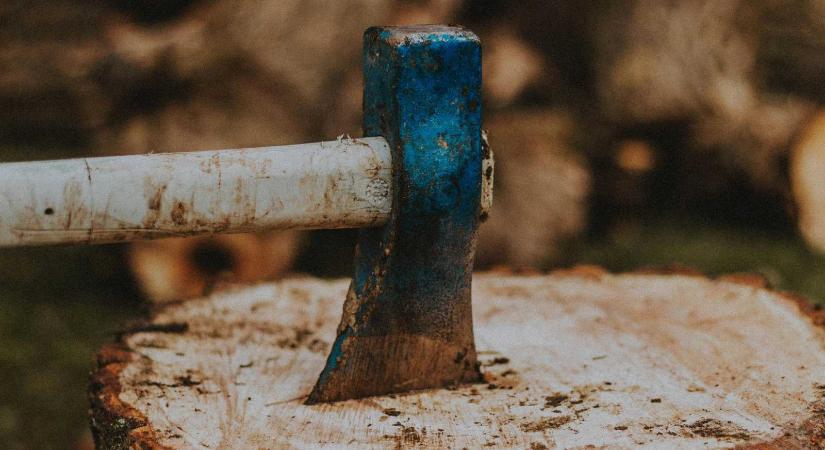 Brutális gyilkosság – Baltával ölte meg a nőt az élettársa