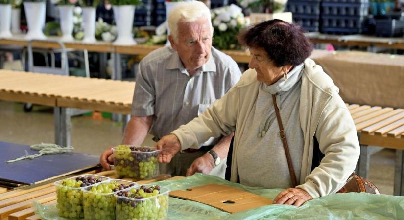 Hiába magyar, alig viszik: utánajártunk, mennyibe kerül most a legújabb szezonális gyümölcs a Mars téri piacon