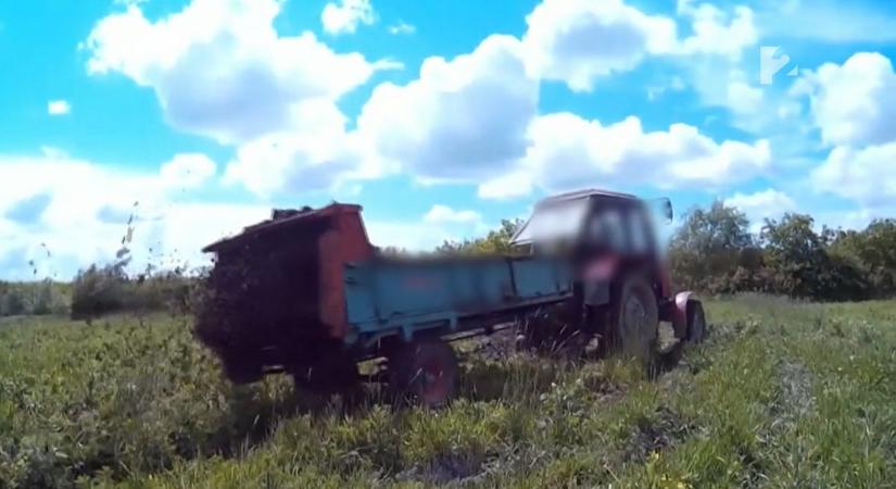 Borzalmas halál a somogyi termőföldön, a rendőrség nyomoz