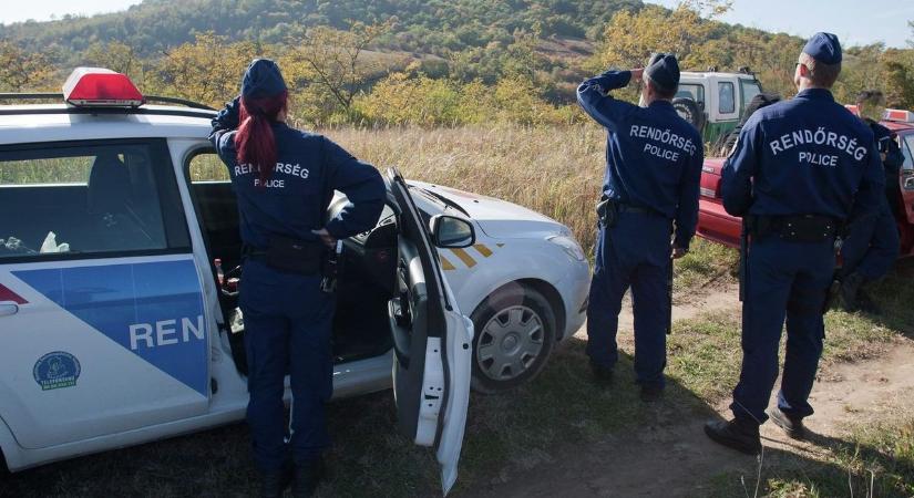 Nem tud leállni: egész Európában keresik a dögös pécsi kaméleont