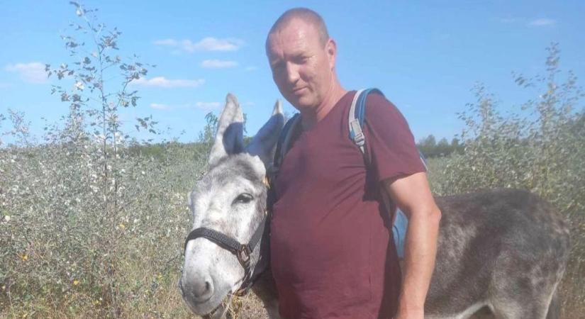 Stoppal gyűjtenek a szamárfarm fejlesztésére - fotók