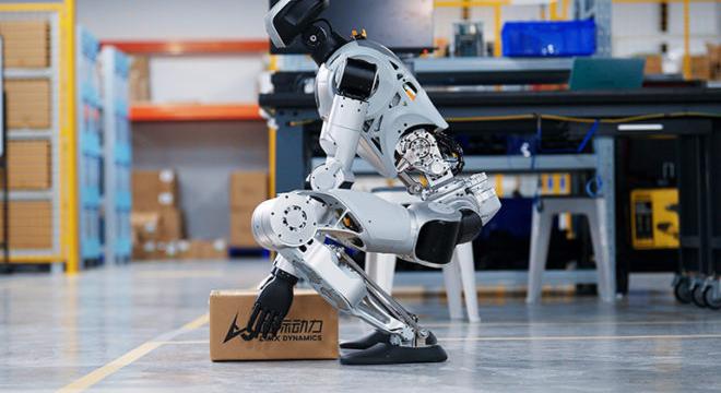 Humanoid robotika világszerte