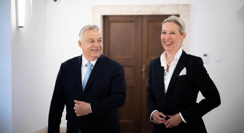 Mindent visz az AfD Németországban: ők állnak az első helyen