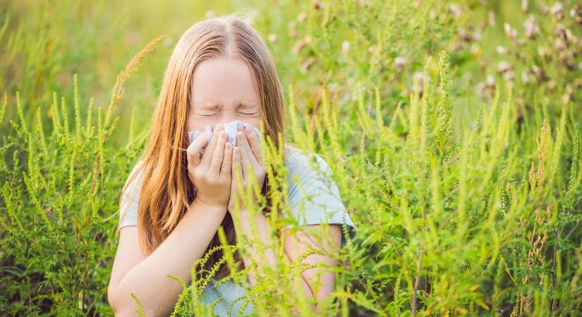 Allergiaszezon csúcson: 7 bevált trükk, hogy enyhítsd a tüneteket