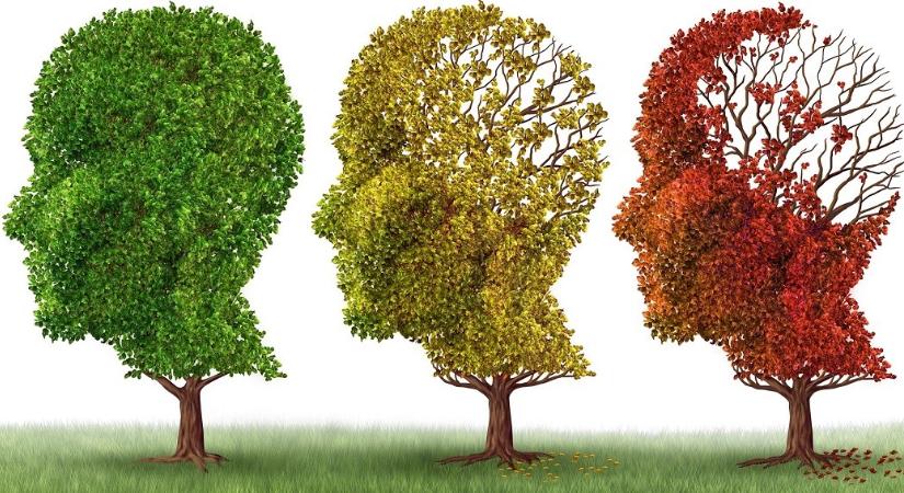 Már Magyarországon is elérhető az Alzheimer korai vértesztje