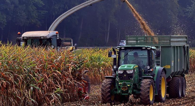 Kukorica 2025: korai aratás?