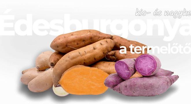 Batáta – az édesburgonya varázsa az asztalon és a kertben