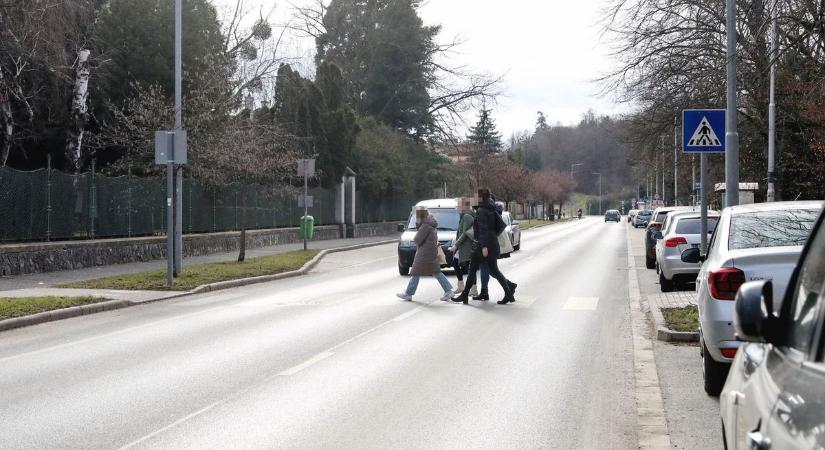Döbbenetes: a pécsieknek nem kell zebra, aztán csodálkoznak, hogy elütik őket (VIDEÓ)