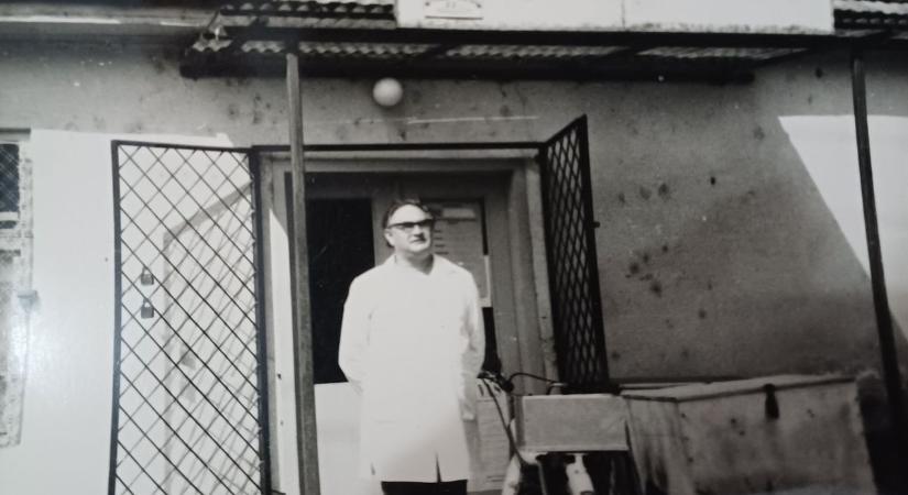 Volt egyszer egy Gatyás csárda – a legendás balatoni vendéglőt mostanra benőtte a természet