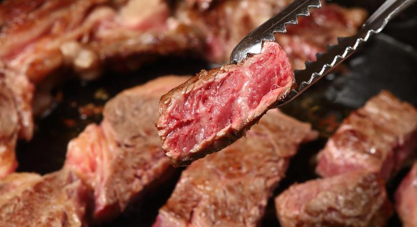 Visszaesett az élőmarha-export, de a marhahús-export a másfélszeresére nőtt