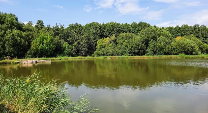 A Petörke-völgy – a Zselic rejtett gyöngyszeme