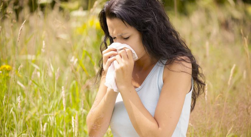 Meglepő tünetek! – ebből tudhatod, ha az allergiádat a parlagfű okozza