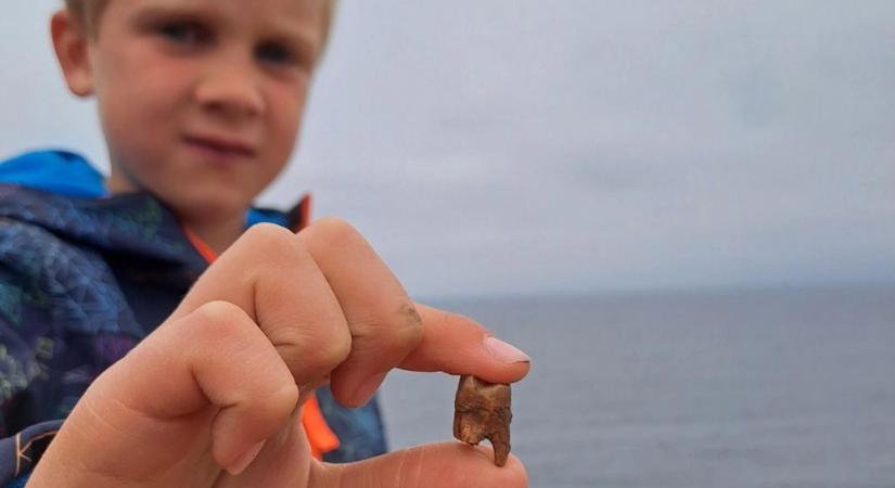 Bronzkori sírt fedezett fel egy hétéves fiú kirándulás közben