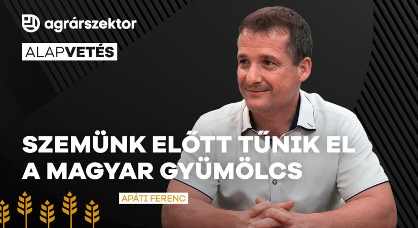 Szemünk előtt tűnik el a magyar gyümölcs, külföldi áru veszi át a helyét a boltokban