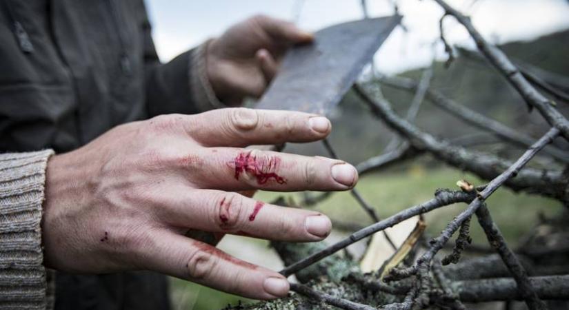 Sorra halnak meg az dolgozók ebben a szektorban: döbbenetes adatok