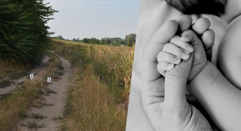 Megerősítette a rendőrség csecsemőgyilkosság áldozata lett a kéthetes eltűnt baba, Zalán