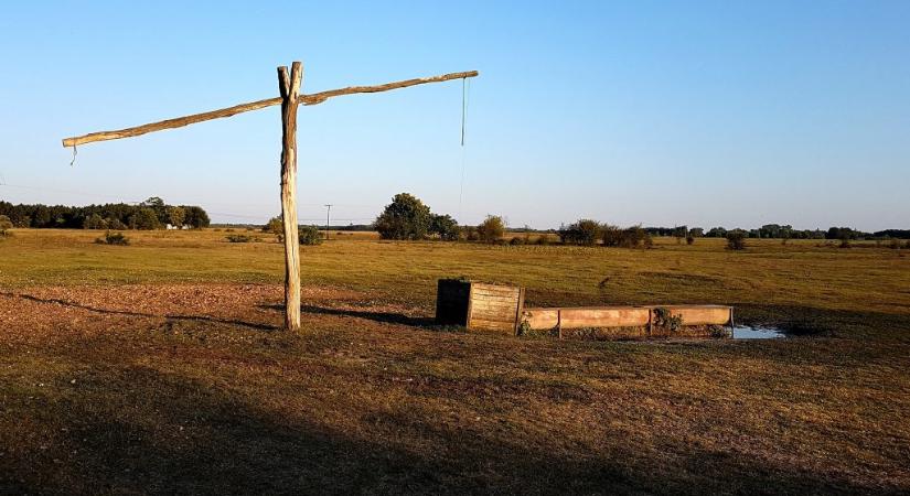 Kútba esett nőt élesztettek újra a szomszédokkal közösen a rendőrök