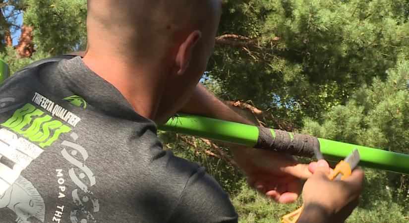 Balesetveszélyes fáslikat távolítottak el a kondiparkban