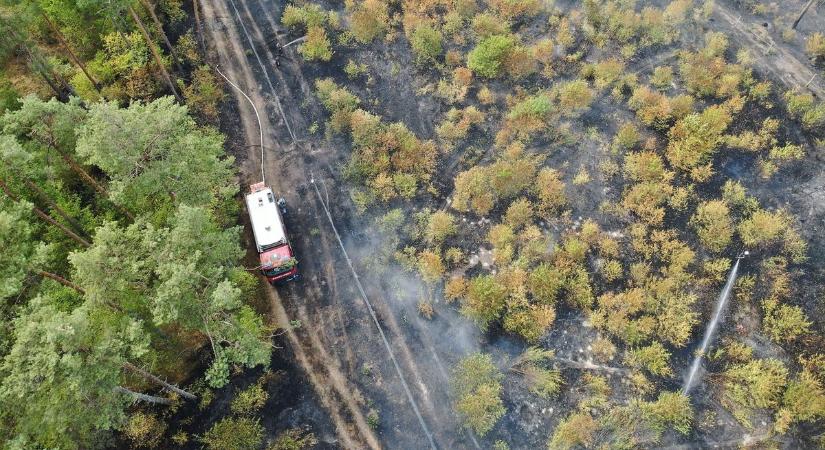 Durva képek és videó a szerdai darányi pusztító tűzről