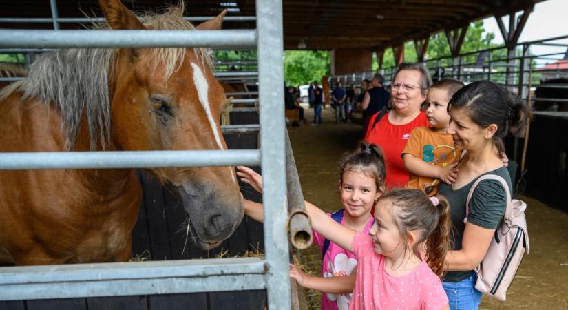 Debrecen ismét a hazai agrárium középpontjában: jön a Farmer Expo