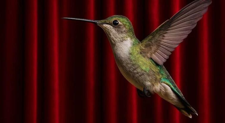 Hiányos a műszak a Kolibri Színházban – több állást hirdetnek