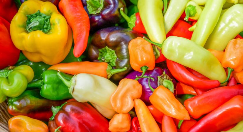 Hihetetlen, de igaz: ennyibe kerül most egy kiló paprika a lengyeleknél